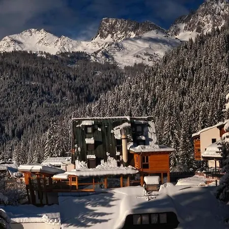 Hotel Paladin San Martino Di Castrozza