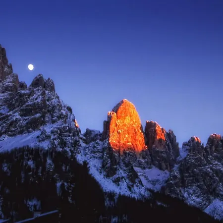 Paladin 3* San Martino Di Castrozza