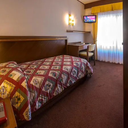 Hotel Paladin San Martino Di Castrozza